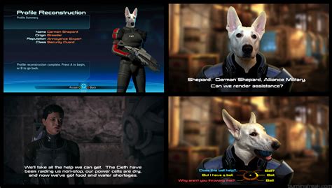 For Fans Of Mass Effect And Big Dogs Commander German Shepard Big