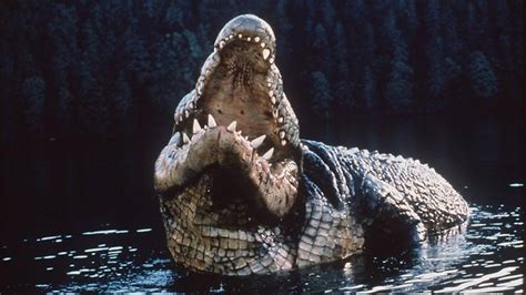Giant Crocodile Anaconda And Lake Placid Wikia Fandom