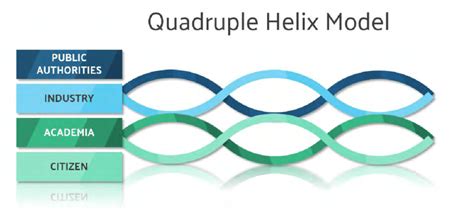 Further Visualization Of The Quadruple Helix Model Download Scientific Diagram