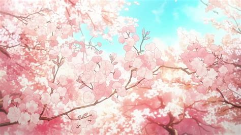 Aesthetic Anime Cherry Blossom Sakura Trees Aesthetic Ps4 Hd Wallpaper