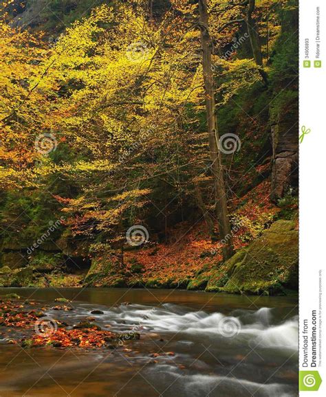 Autumn Mountain River With Blurred Waves Fresh Green Mossy Stones