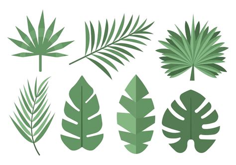 Tropical Palm Leaves Vector 146162 Vector Art At Vecteezy