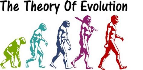 My Problems With The Theory Of Evolution Hubpages
