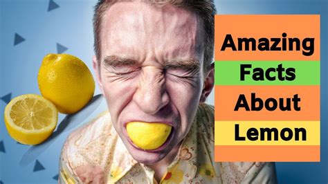 Top 40 Interesting Lemon Facts Amazing Facts About Lemon Youtube