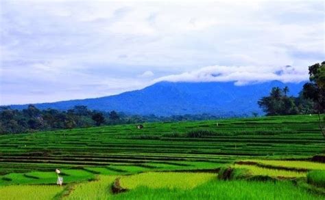 pemandangan alam pegunungan indonesia gambar pemandangan pegunungan