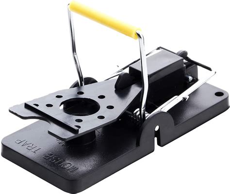 Best Mouse Traps For Home 2022 Effective Permanent And Humane