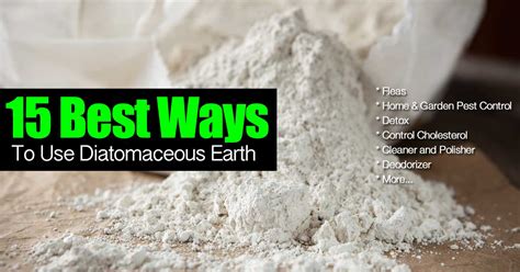 What on earth is diatomaceous earth? 15 Best Ways To Use All Natural Diatomaceous Earth