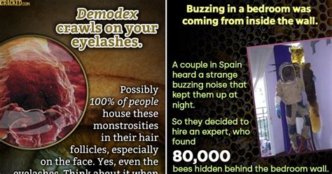 31 Disturbing Facts We Wish We Could Erase From Our Mind