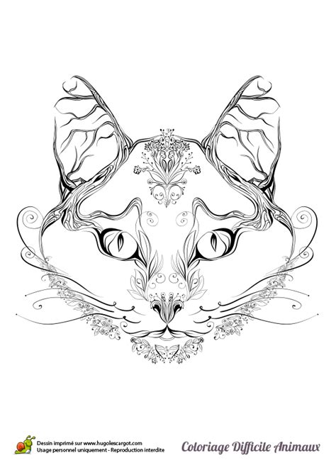 Coloriage et illustration d'une tête de chat