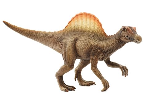 7 Pics Spinosaurus Facts For Kids And Description Alqu Blog