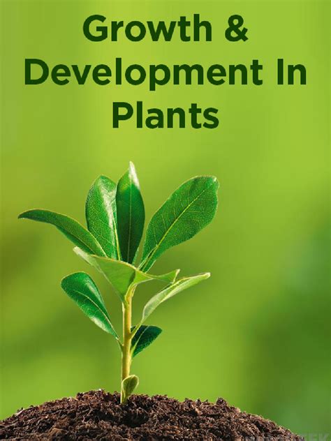 Download Growth And Development In Plants Pdf Online 2020 By Panel Of