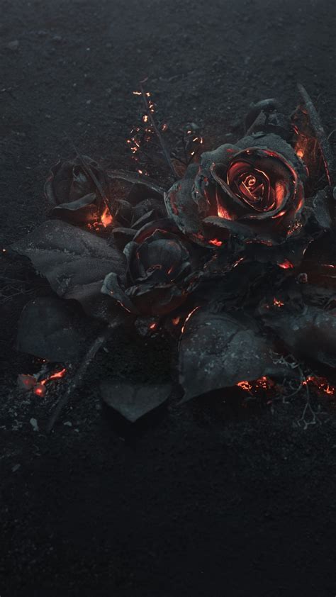 Download 1080x1920 Rose Ashes Fire Black Dark Theme