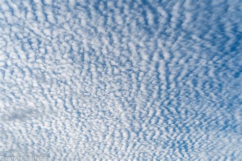 Cirrocumulus Stratiformis In The Sky Over North Leicesters Flickr