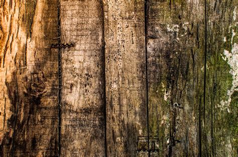 The Texture Archives Free Textures For The Taking Rotten Wood Planks