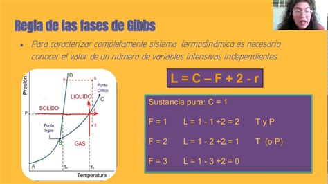 La Regla De Las Fases De Gibbs Y Los Diagramas De Fases En Sistemas De