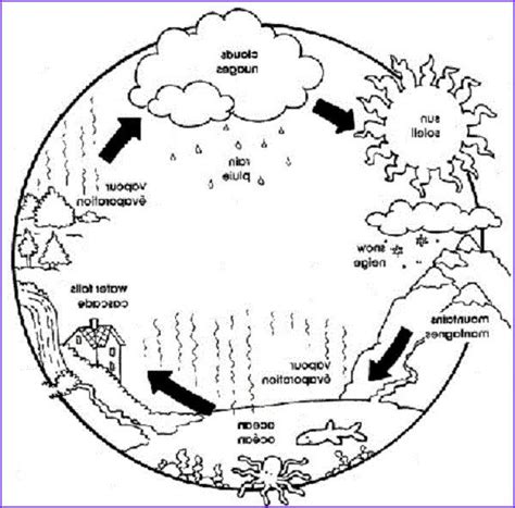 Print these out and use them as posters or coloring pages. 11 Best Of Water Cycle Coloring Pages Image in 2020 (With ...