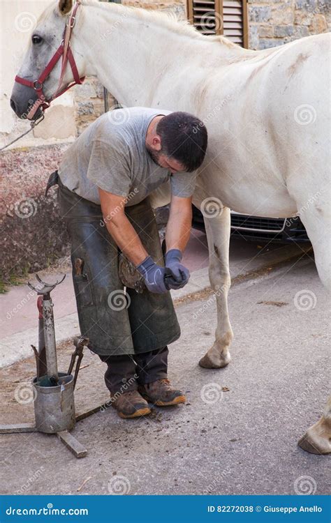 Horse Farrier Working In The Morning Editorial Stock Photo Image Of