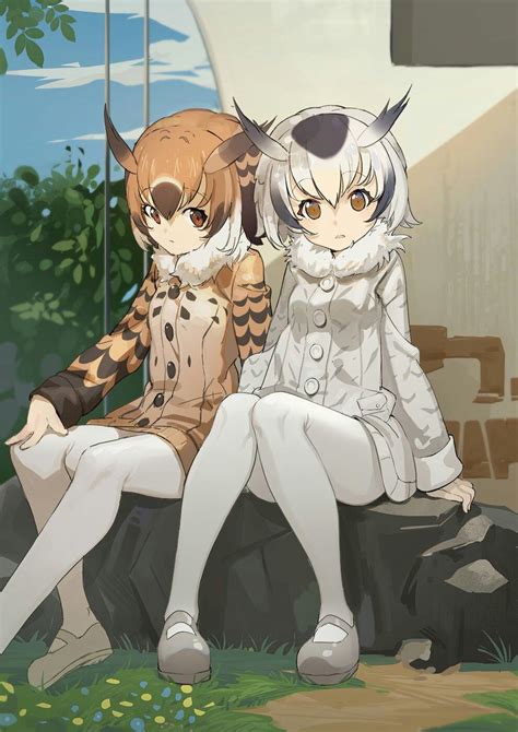 Kemono Friends With Images Friend Anime Anime Chibi Anime