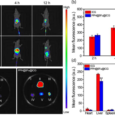 In Vivo Nir Fluorescence Imaging Ags Tumorbearing Nude Mice A In