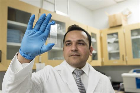 Zika Detector Device Being Developed By Fau Researchers Health News