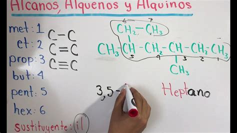 Alcanos Alquenos Y Alquinos Quimica Organica Youtube Quimica