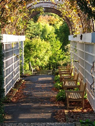 Add Drama And Character To Your Walkways Jsl Exteriors Landscape