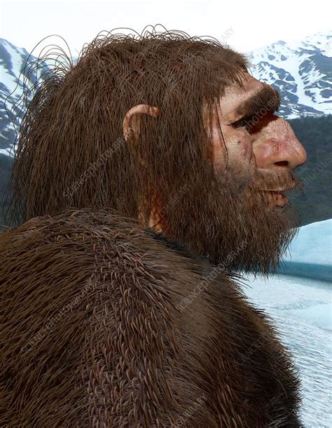 Neanderthal Illustration Stock Image C Science Photo Library