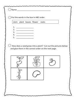 Plants that make seed and don't make seed. The Plant World, ABEKA 2nd Grade Plant Worksheets Study ...