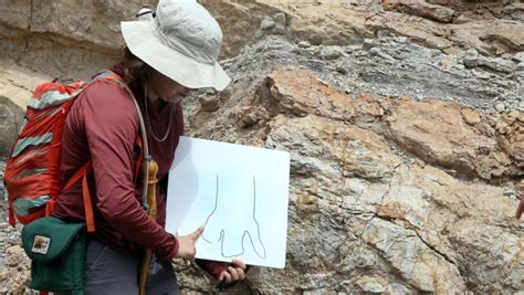 Things To Do In El Paso Hike Hunt For Dinosaur Fossils Each Month