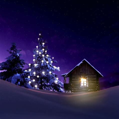 1080x1080 Resolution Christmas Lighted Tree Outside Winter Cabin