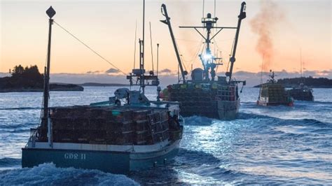 Indigenous Fishermen Hope To Be Arrested Trigger Court Case As Nova
