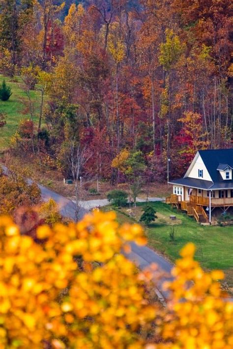 Best Time To See Tennessee Fall Colors 2024 When To See Roveme
