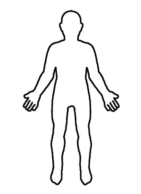 Medical Human Body Outline Drawing At Getdrawings Free Download