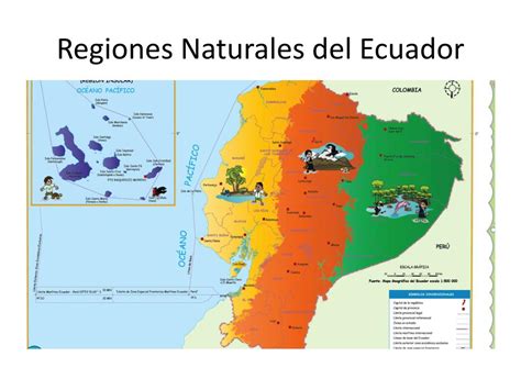 Regiones Naturales Del Ecuador Images