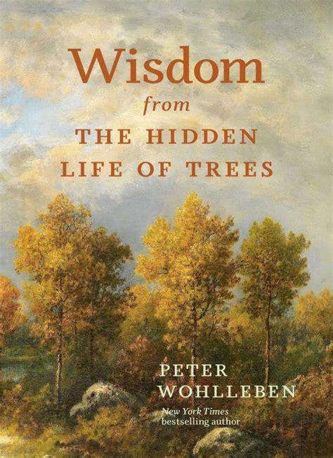 Wisdom From The Hidden Life Of Trees Peter Wohlleben Buch Jpc