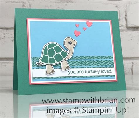 Turtle Y Loved In 2021 Turtle Happy Cards Stampin Up
