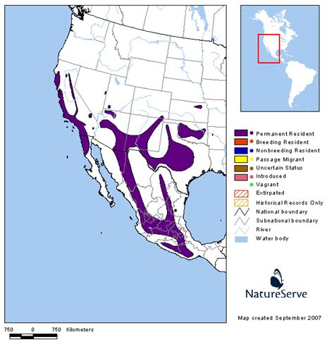Americas Range Map Rufous Crowned Sparrow