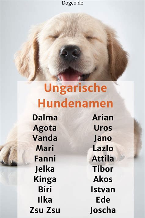 ungarische hundenamen namensliste mit weiblichen und männlichen namen hundenamen männliche