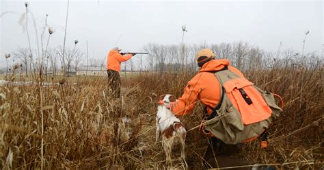 Preserve Offers Bird Hunts And More