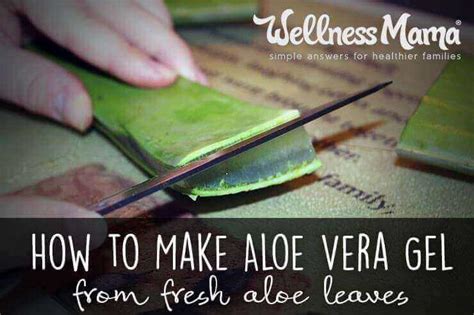 How To Make Aloe Vera Gel From Fresh Aloe Leaves Wellness Mama