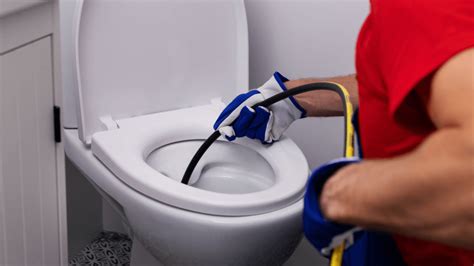 How To Unblock A Toilet