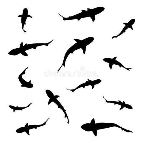 Set Of Shark Silhouette Fish Vector Stock Vector Illustration Of