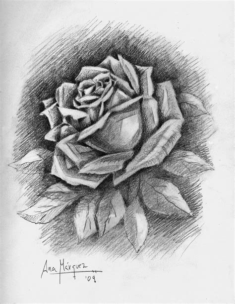 Dibujos De Rosas Chidas Imagui