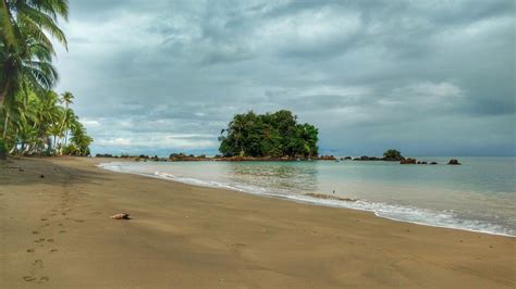 Nuquí an exotic and relaxing place to discover Whale Watching in