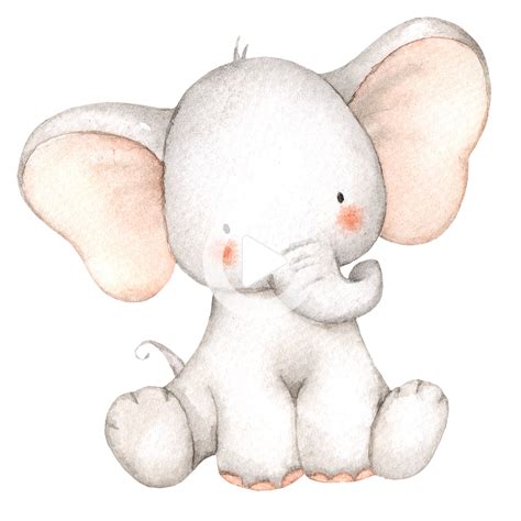 Illustration Baby Elephant Drawing Cute Elephant Drawing Baby Painting
