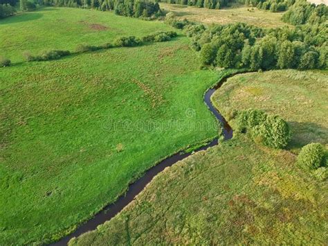 River Flows Through The Green Meadow With Trees Aerial View Stock