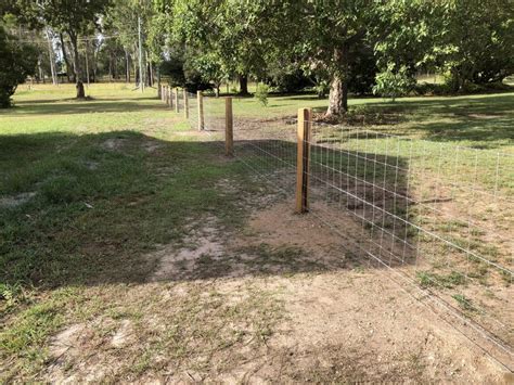 Dog Wire Fence By Fraser Coast Mini Excavations Spraying And Rural Fencing