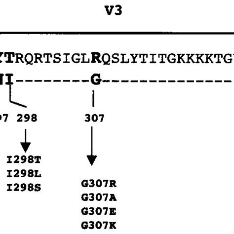 Comparison Of Amino Acids Of The C2 V3 And C3 Regions Of The Wtndk