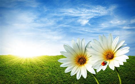 Spring Wallpapers | Best Wallpapers