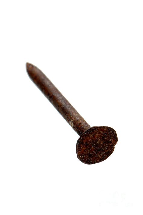Old Rusty Nail Photograph By Olivier Le Queinec